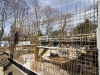 05_const-2011